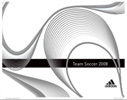 Team Soccer 2008